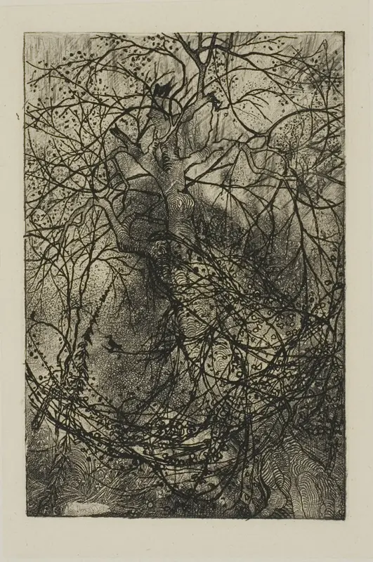 Tree Branches