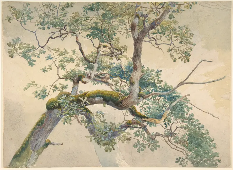 Tree Branches Wall Art by Charles Reginald Aston - High-Resolution Digital Print