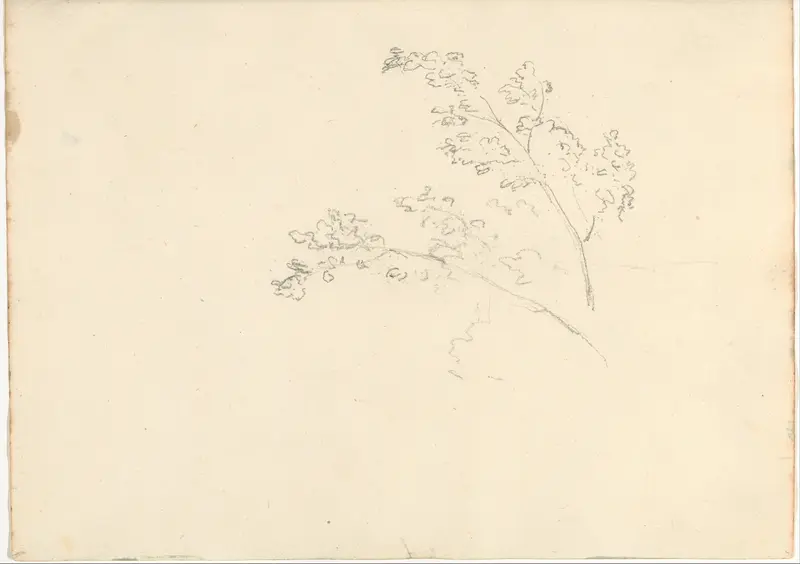 Tree branches (Smaller Italian sketchbook, leaf 30 recto) Wall Art by Joseph Wright (Wright of Derby) - High-Resolution Digital Print
