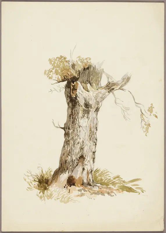 Tree Trunk I Wall Art by Style of William Callow - High-Resolution Digital Print