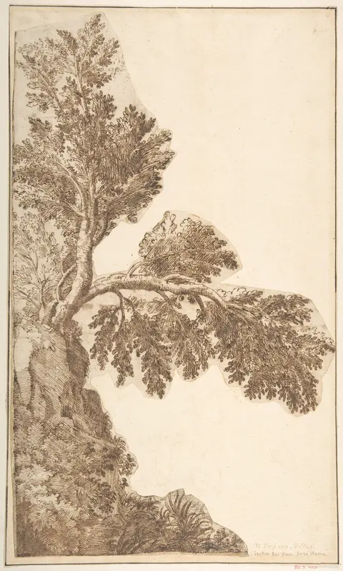 Trees Wall Art by Anonymous, Italian, Venetian, 15th to 16th century - High-Resolution Digital Print