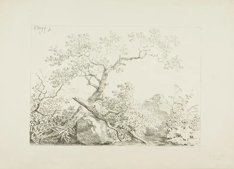 Trees and Rocks by Water