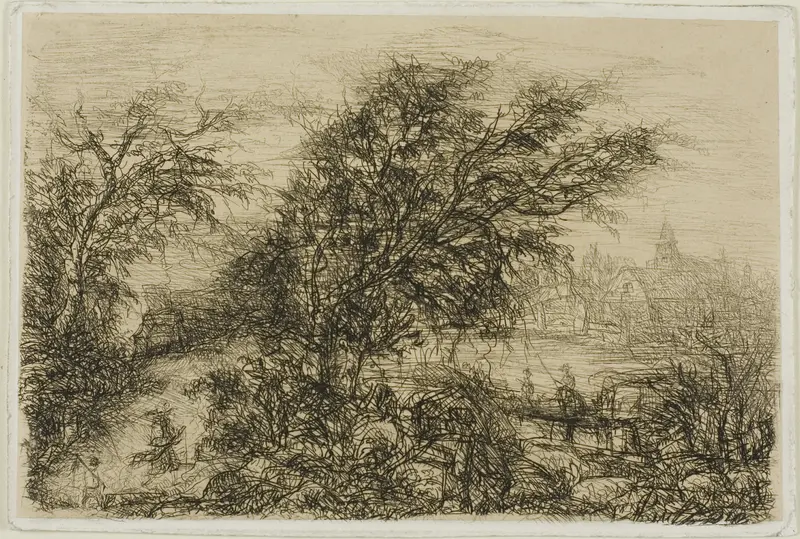 Trees Bending in the Wind