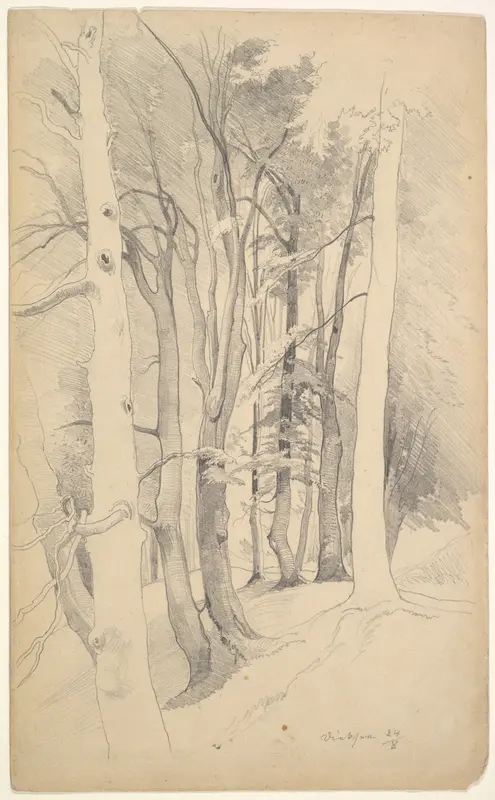 Trees near Diessen Wall Art by Carl Maria Nicolaus Hummel - High-Resolution Digital Print
