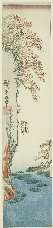 Trees on a cliff above a river