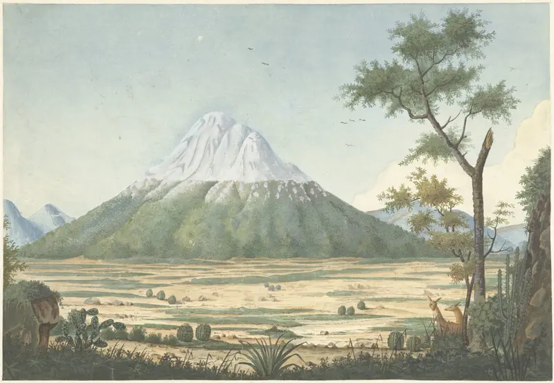 Tropisch landschap met bergen Wall Art by anonymous - High-Resolution Digital Print