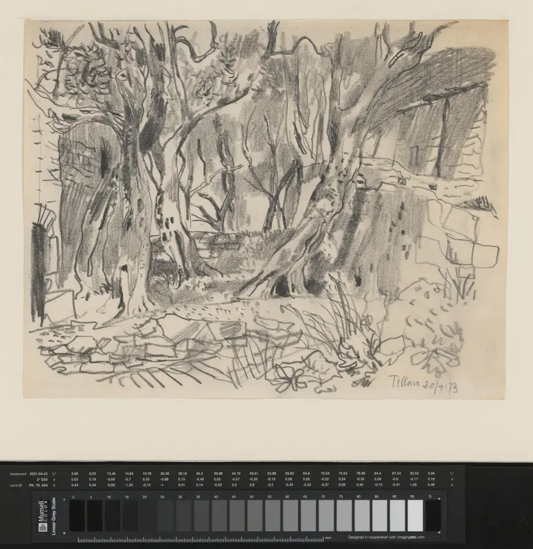 Tuin met bomen Wall Art by Theo Kurpershoek - High-Resolution Digital Print