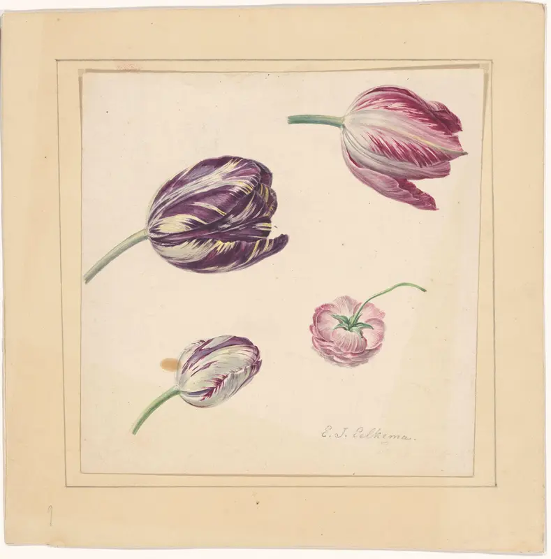 Tulpen Wall Art by Eelke Jelles Eelkema - High-Resolution Digital Print