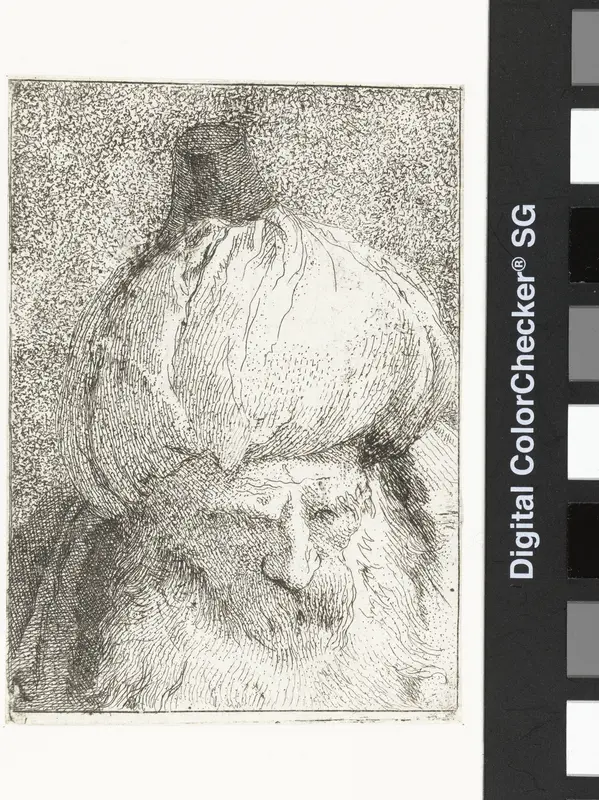 Turkse man met tulband Wall Art by Giovanni Domenico Tiepolo - High-Resolution Digital Print