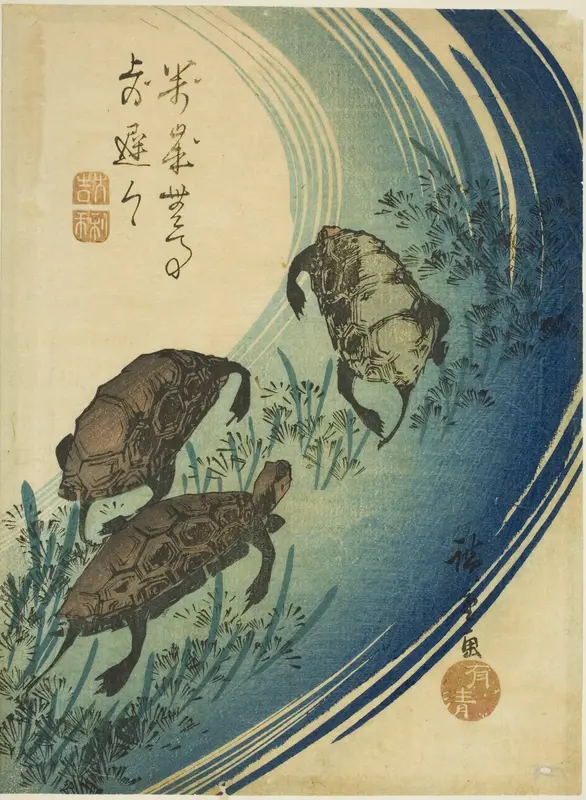 Turtles swimming in a stream