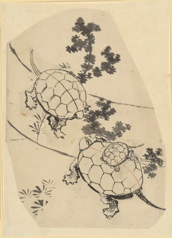 Turtles