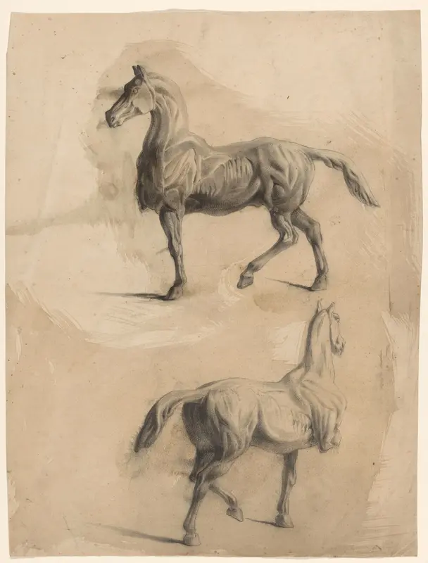 Twee anatomiestudies van een paard Wall Art by Johannes Tavenraat - High-Resolution Digital Print