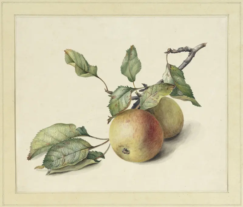 Twee appeltjes aan een tak Wall Art by Johannes Reekers (II) - High-Resolution Digital Print