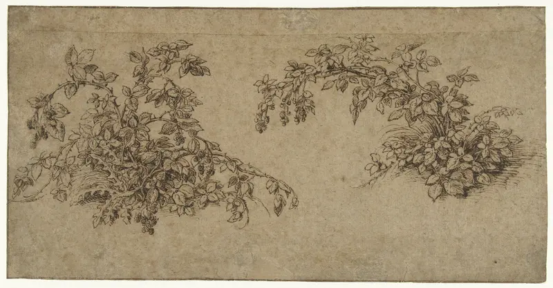 Twee braamstruiken Wall Art by Jacques de Gheyn (II) - High-Resolution Digital Print