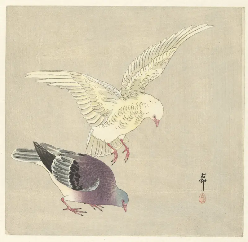Twee duiven Wall Art by Unknown - High-Resolution Digital Print