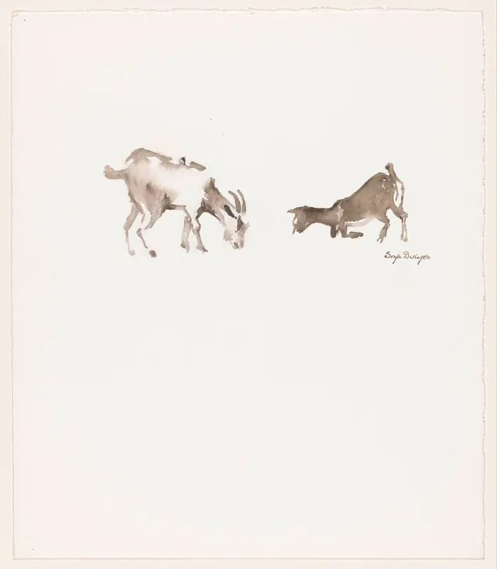 Twee geiten Wall Art by Unknown - High-Resolution Digital Print