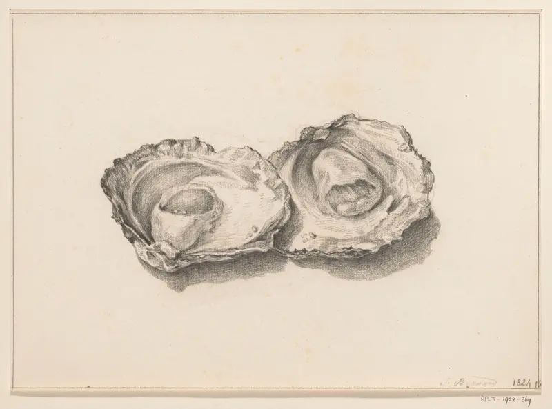 Twee geopende oesters Wall Art by Jean Bernard - High-Resolution Digital Print