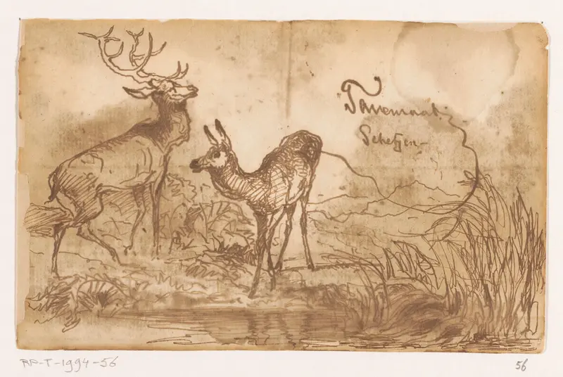 Twee herten bij een poel Wall Art by Unknown - High-Resolution Digital Print