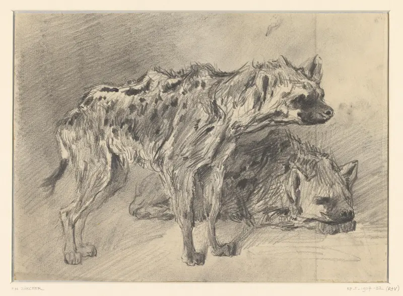 Twee hyena's Wall Art by Frederik Willem Zürcher - High-Resolution Digital Print