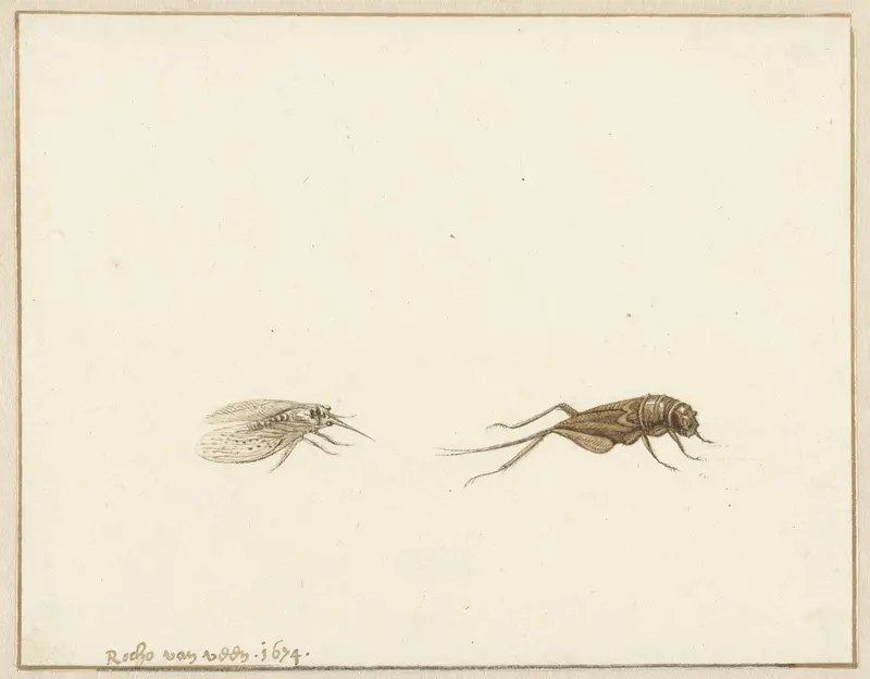 Twee insecten Wall Art by Rochus van Veen - High-Resolution Digital Print