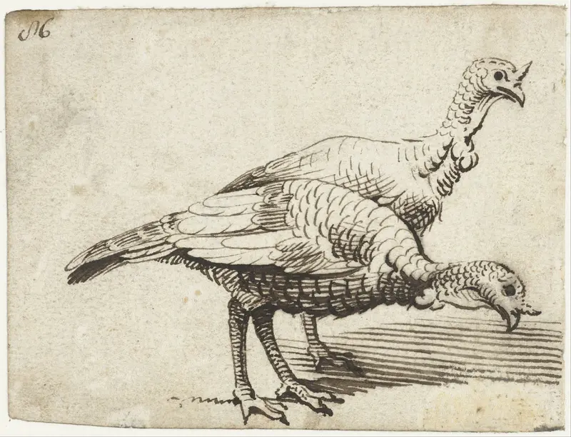 Twee kalkoenen Wall Art by Gerard ter Borch (I) - High-Resolution Digital Print