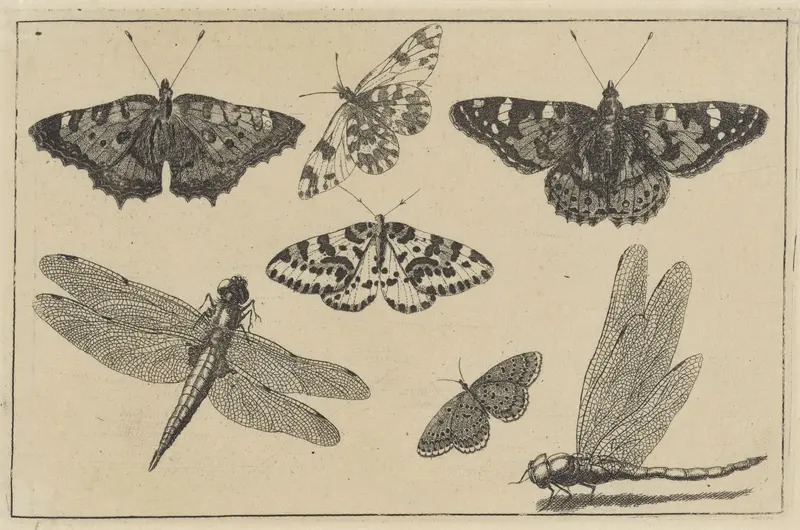 Twee libellen en vijf vlinders Wall Art by Wenceslaus Hollar - High-Resolution Digital Print