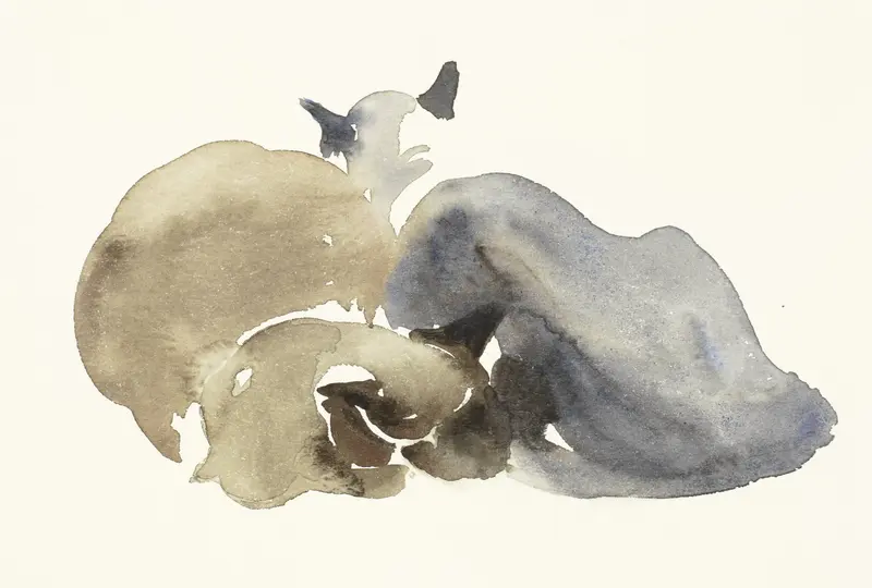 Twee liggende Siamese katten Wall Art by Sonja Dwinger - High-Resolution Digital Print