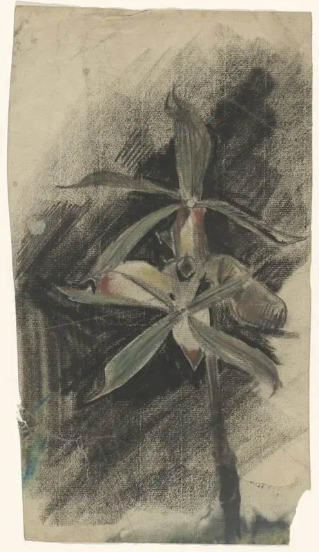 Twee orchideeën Wall Art by Carel Adolph Lion Cachet - High-Resolution Digital Print