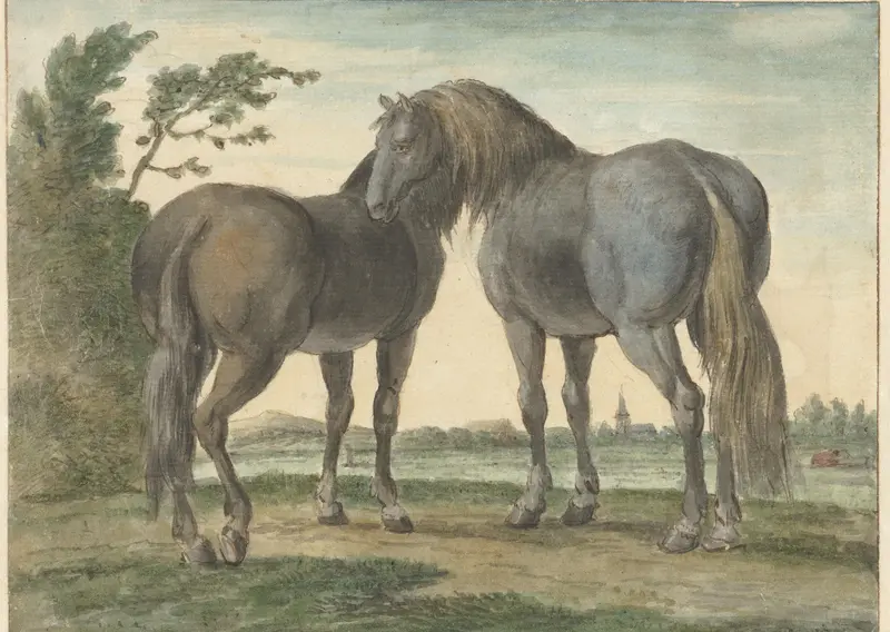 Twee paarden in een weide, op de achtergrond een kerktoren Wall Art by Hendrik Stokvisch - High-Resolution Digital Print
