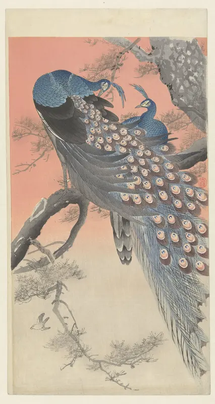 Twee pauwen op boomtak Wall Art by Unknown - High-Resolution Digital Print