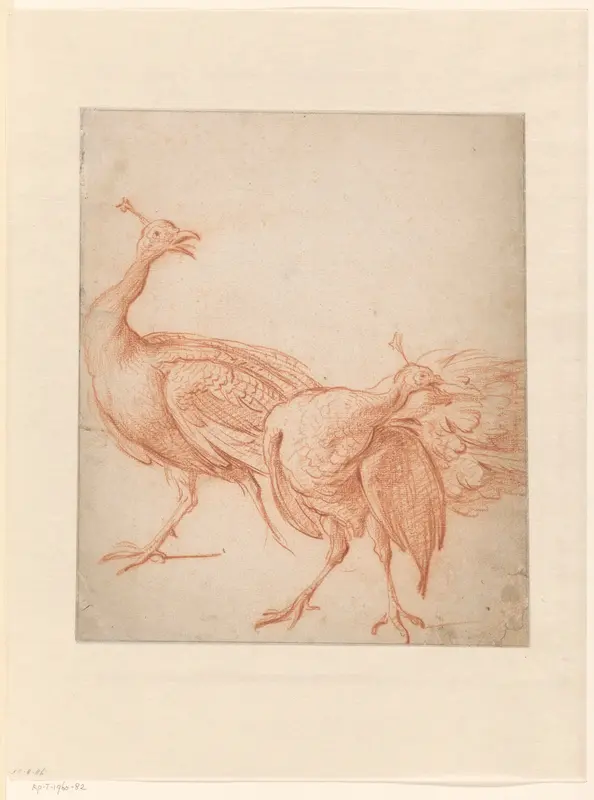 Twee pauwen Wall Art by Melchior d' Hondecoeter - High-Resolution Digital Print