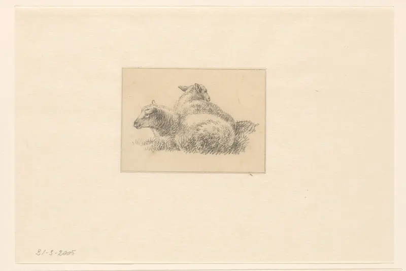 Twee schapen Wall Art by anonymous - High-Resolution Digital Print