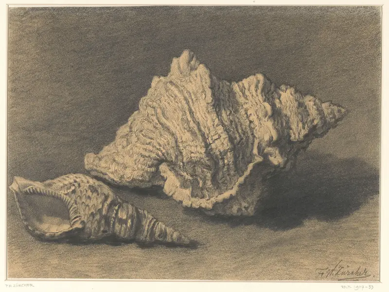 Twee schelpen Wall Art by Frederik Willem Zürcher - High-Resolution Digital Print