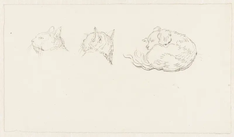 Twee schetsen van de kop van een kat en een liggende hond Wall Art by Pieter Bartholomeusz. Barbiers - High-Resolution Digital Print