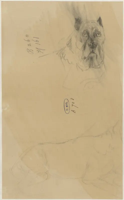 Twee schetsen van een hond Wall Art by Guillaume Anne van der Brugghen - High-Resolution Digital Print