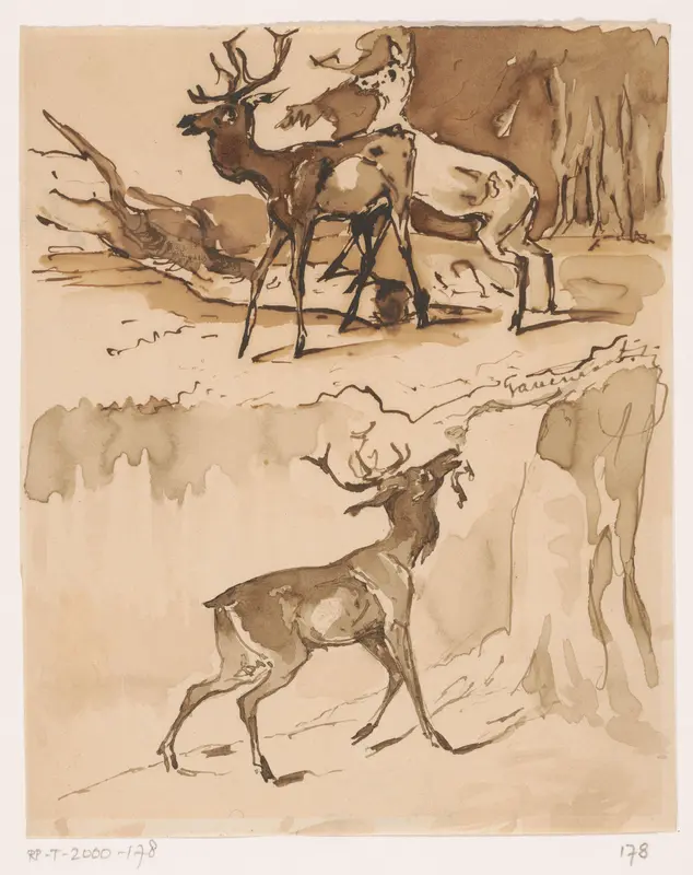 Twee schetsen van herten Wall Art by Unknown - High-Resolution Digital Print