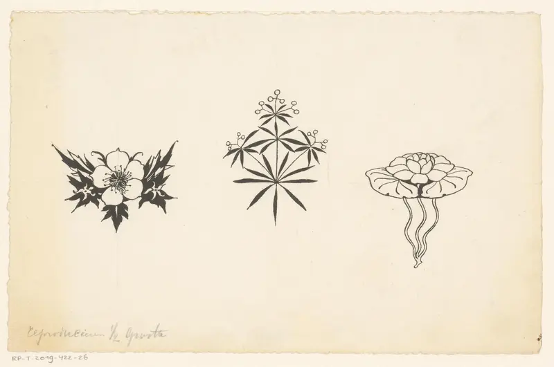 Twee soorten planten en een waterlelie Wall Art by Willem Wenckebach - High-Resolution Digital Print