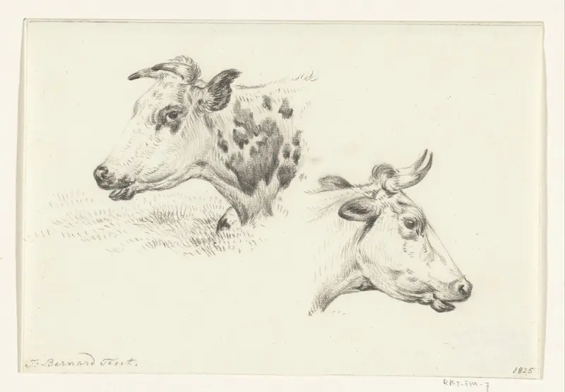 Twee studies van de kop van een koe Wall Art by Jean Bernard - High-Resolution Digital Print