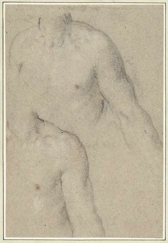 Twee studies van de torso van een jongeman Wall Art by Carlo Caliari - High-Resolution Digital Print