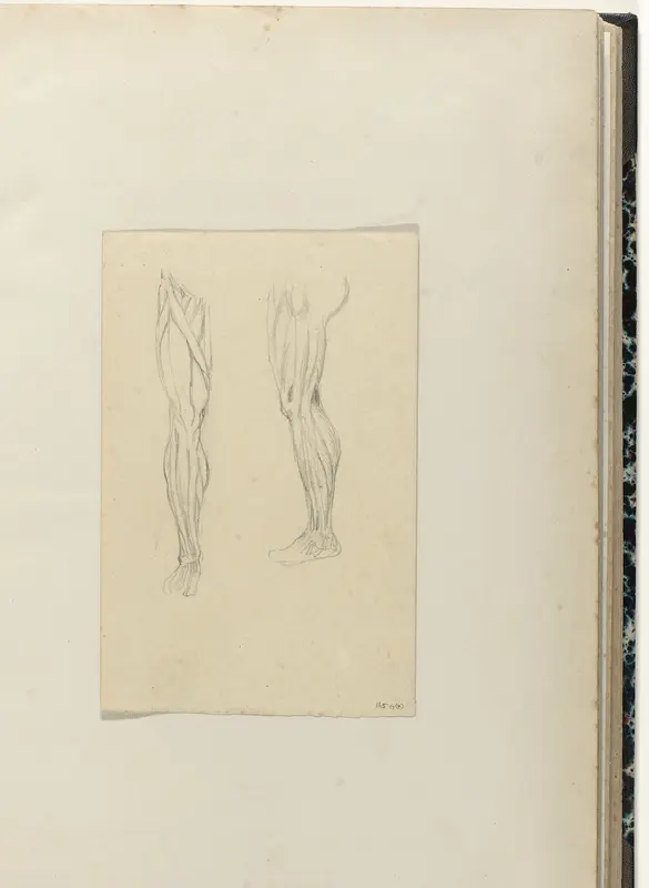 Twee studies van een been Wall Art by anonymous - High-Resolution Digital Print