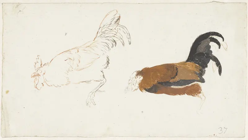 Twee studies van een dode haan Wall Art by Aert Schouman - High-Resolution Digital Print