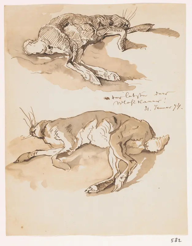 Twee studies van een dode haas Wall Art by Johannes Tavenraat - High-Resolution Digital Print
