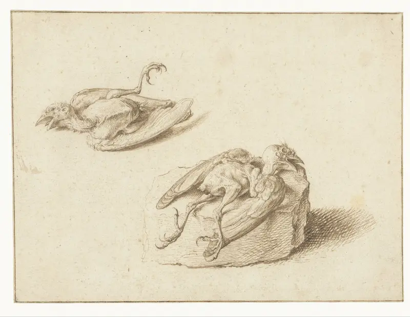 Twee studies van een dood vogeltje Wall Art by Jacques de Gheyn (II) - High-Resolution Digital Print