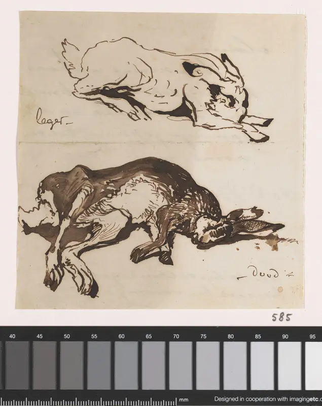 Twee studies van een haas Wall Art by Johannes Tavenraat - High-Resolution Digital Print