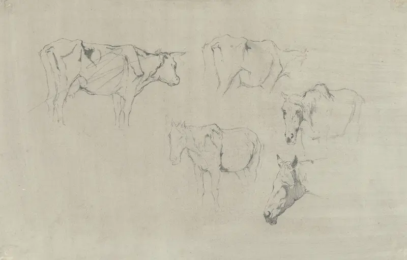 Twee studies van een koe en drie van een paard Wall Art by Gerard Bilders - High-Resolution Digital Print