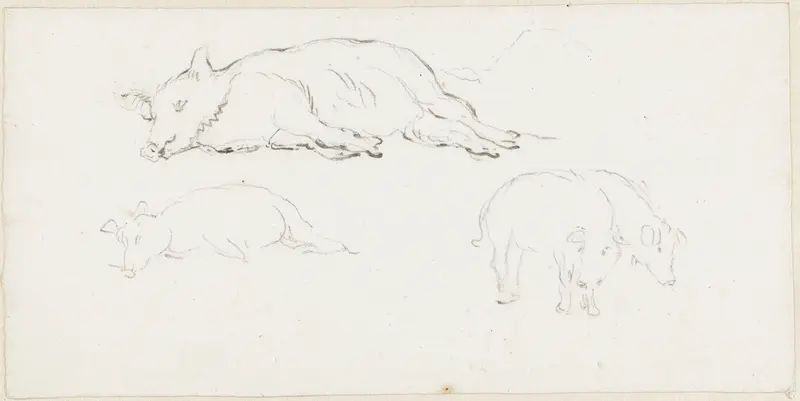 Twee studies van een liggend varken en twee staande varkens Wall Art by Pieter Bartholomeusz. Barbiers - High-Resolution Digital Print