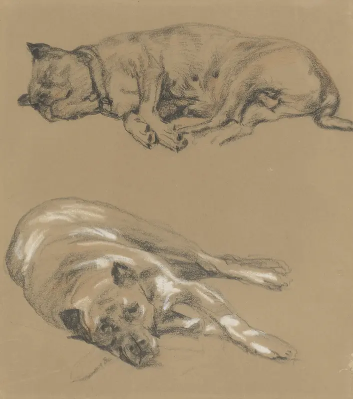 Twee studies van een liggende hond Wall Art by Guillaume Anne van der Brugghen - High-Resolution Digital Print