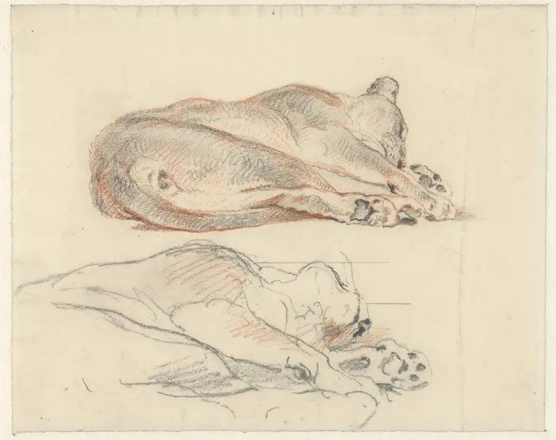 Twee studies van een liggende tijger Wall Art by Guillaume Anne van der Brugghen - High-Resolution Digital Print