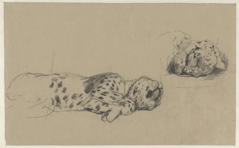 Twee studies van een luipaard Wall Art by Guillaume Anne van der Brugghen - High-Resolution Digital Print