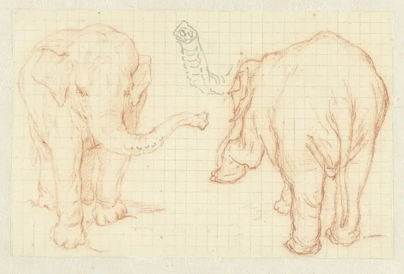 Twee studies van een olifant en een slurf Wall Art by Petrus Camper - High-Resolution Digital Print